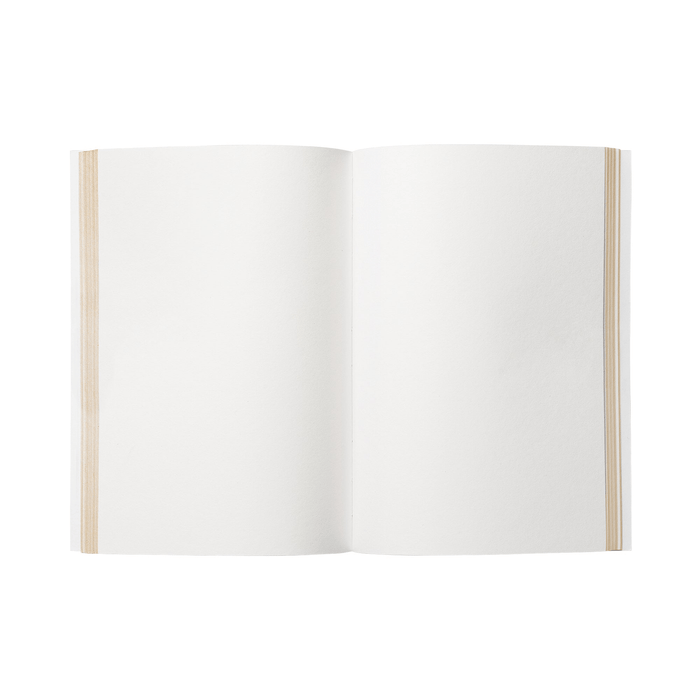 Dulong Notebook