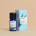 Essential Oil 12ml Eucalyptus