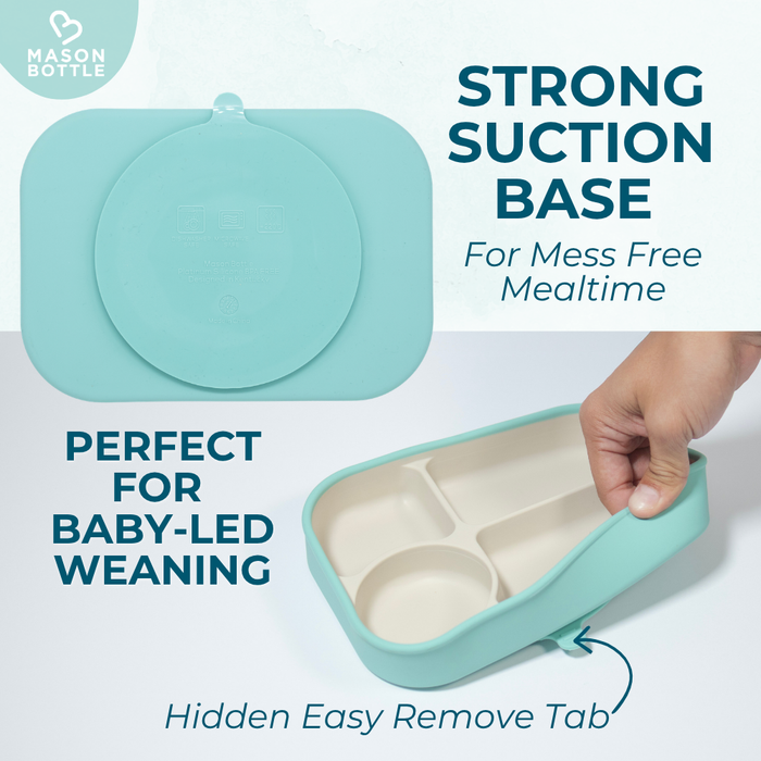 First Bites™ Silicone Plate