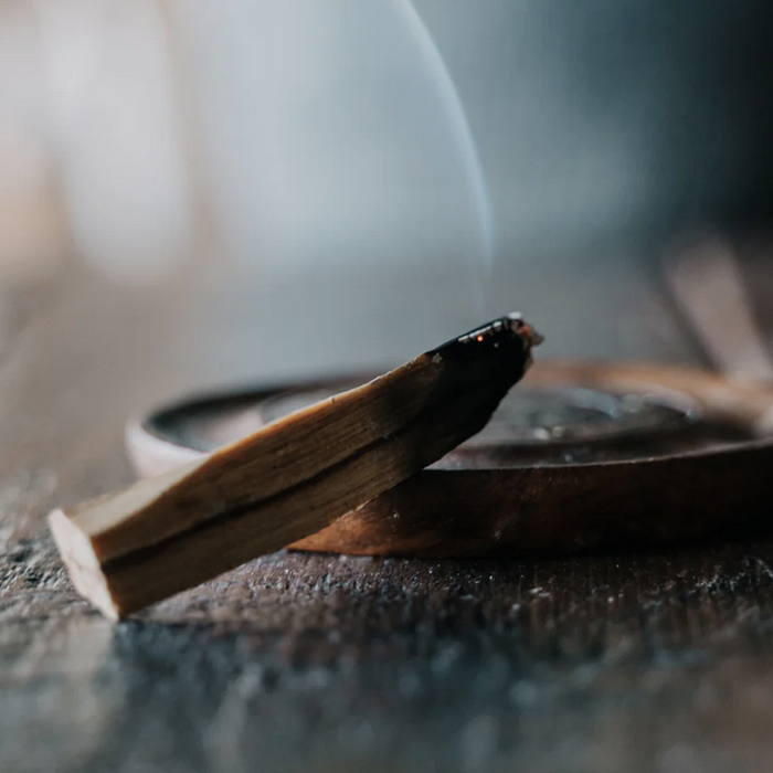 Green Tree Candle • Palo Santo - 10 bâtonnets