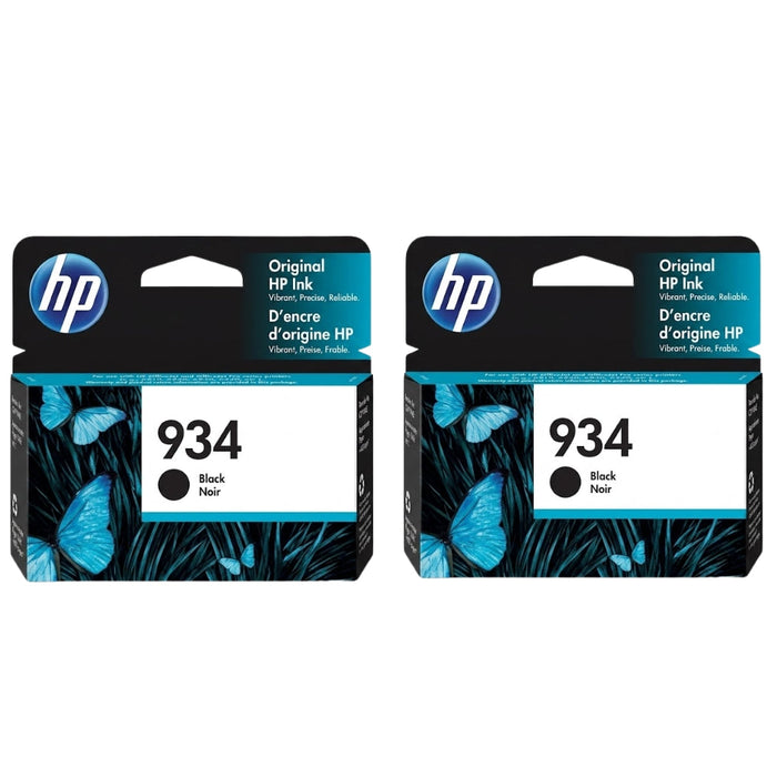 HP 934 Black (C2P19AN) Ink Cartridge- 2 Pack
