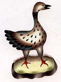 Little Goose